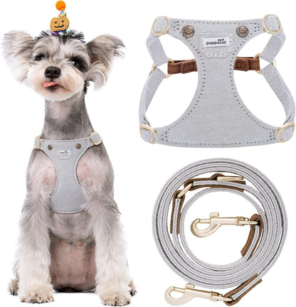 Puppytie No Pull Small Dog Harness with Multifunction Dog Leash,Lightweight Soft Adjustable No Choke Escape Proof Pet Harness Vest Pet Harness Vest,Denim Gray,S