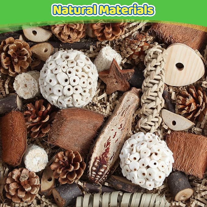 Kyouki Bird Toys Parrot Natural Bird Foraging Box Foot Toys for Parakeets,Cockatiels,Conures,Love Birds,and Other Small to Medium Birds (Large)