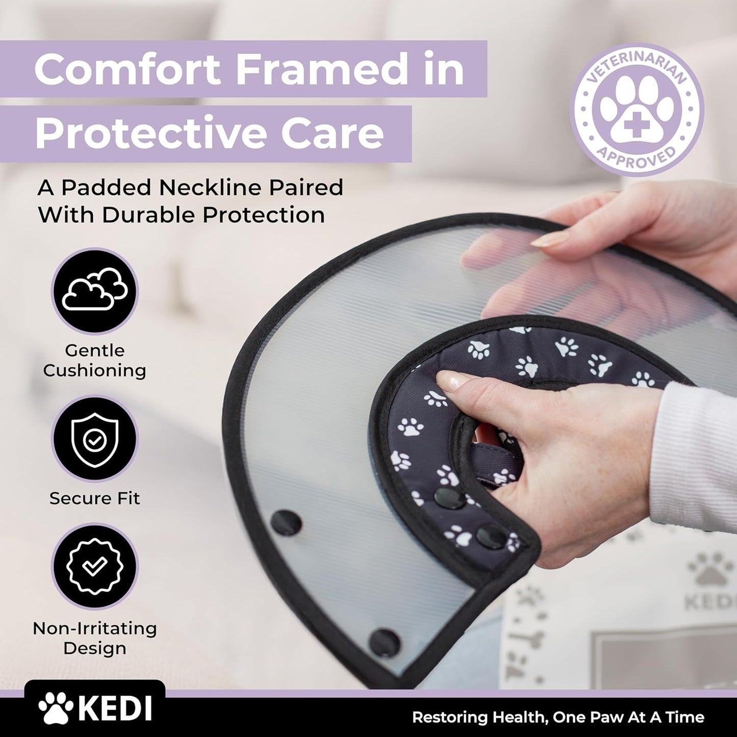 Cat Recovery Cone Kit Post Surgical Soft Pet Vest, Collar, and Non-Irritating Protection Cone for Cats - Comfortable Injury Care Solution (Black, S)