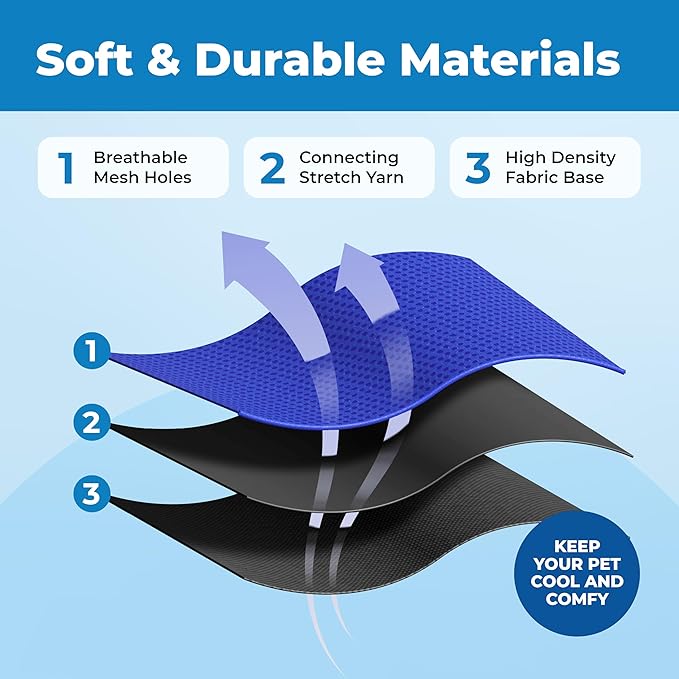 Voyager Escape Proof Cat Harness and Leash Set with Reflective Stitching, Neoprene Handle 5ft - Supports Small, Medium and Large Cats, Kittens for Walking by Best Pet Supplies - BT-Royal Blue, S