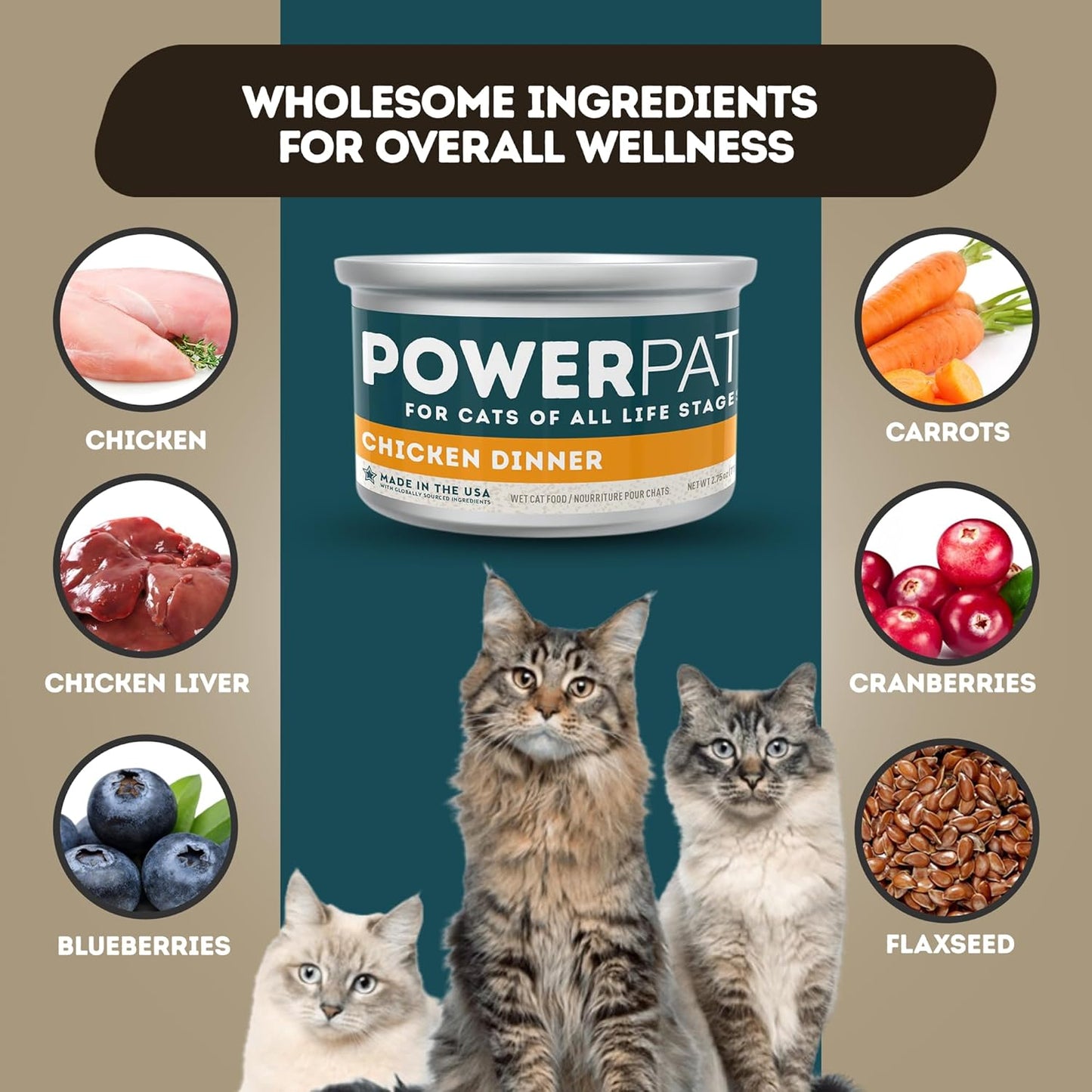 Only Natural Pet PowerPate Grain-Free Chicken Dinner Wet Cat Food - Holistic, High Protein w/Chicken & Broth - Balanced Nutrition for Kitten & Cats of All Life Stages, 2.75 oz Cans, Case of 12 (C)