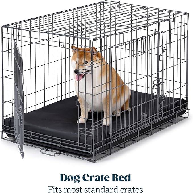 Cybarmour Chew Proof Dog Bed - Orthopedic Indestructible Dog Crate Pad - Outdoor Waterproof Kennel Mat for Aggressive Chewers - Large Breeds & Fits 36-Inch Crate - 35"x22", Black