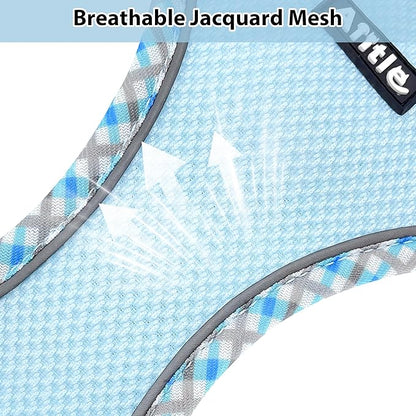 AIITLE Dog Harness and Leash Set - Ultra-Comfortable XXS-XL Vest with Strong Magic Tape & Glow-in-Dark Reflective Strips, Chafe-Free for Teddy, Schnauzer (Blue, M)