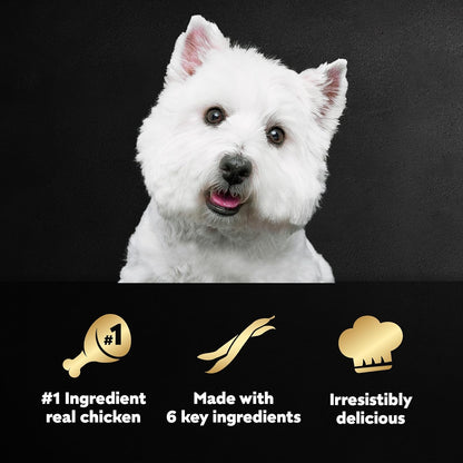 Cesar Simply Crafted Adult Wet Dog Food Meal Topper, Chicken, Duck, Purple Potatoes, Pumpkin, Green Beans & Brown Rice, 1.3oz. (10 Count, Pack of 1)