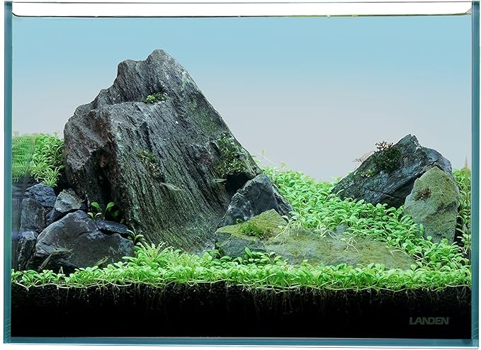 LANDEN 36N 5 Gallon Rimless Low Iron Aquarium Tank, 14.2" W × 8.7" D × 10.2" H (36cm x 22cm x 26cm) 5mm Thickness with Black Nano Foam Leveling mat Included