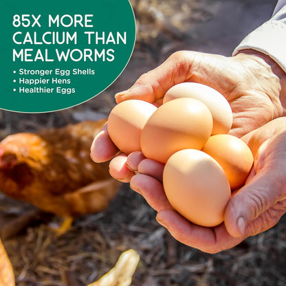 FLYGRUBS 20 lb Dried Black Soldier Fly Larvae – Superior to Mealworms for Chickens–85X More Calcium,Non-GMO,High-Protein Feed & Molting Supplement for Hens, Ducks, Turkeys, Wild Birds, Quails, Turtles