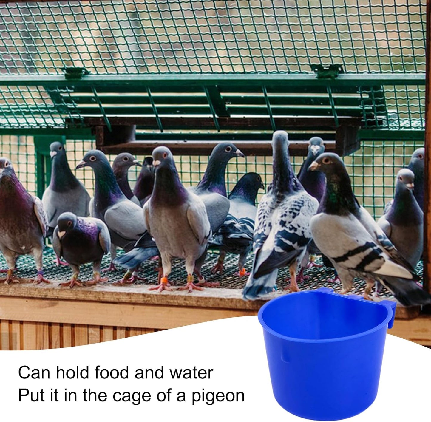 Rainmae 50 Pcs Cage Cups Birds Hanging Feeders Chicken Water Cups Bird Food Bowl 8 oz Plastic Bird Water Dispenser for Small Coop Parrot Parakeet Pet Poultry Pigeon Gamefowl Seed Bowl Supplies (Blue)
