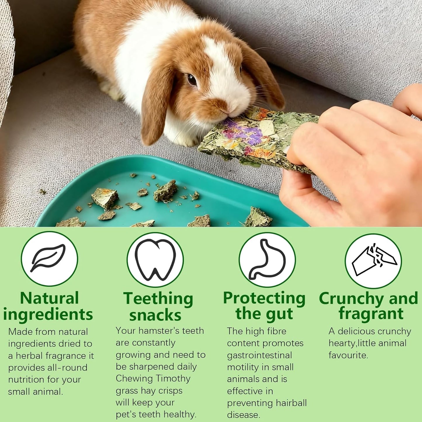 Hamiledyi Rabbit Chew Toys 24 Pieces Guinea Pig Chew Toys for Teeth Natural Grinding Teeth for Chinchilla Bunny Hamster Gerbil Rat Small Animals