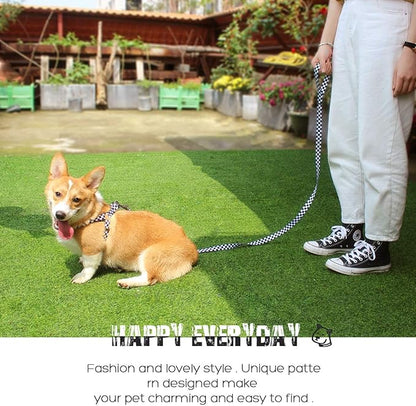 QQPETS Dog Harness Leash Set Adjustable Heavy Duty No Pull Halter Harnesses for Small Medium Large Breed Dogs Back Clip Anti-Twist Perfect for Walking (S(14"-20" Chest Girth), Black Plaid)