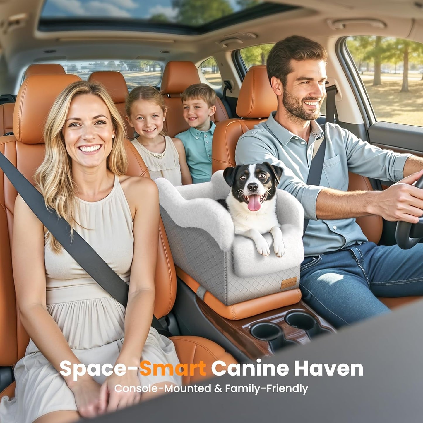 Portable Small Dog Seat for Car, Luxury Center Console Dog Car Seat Booster with Safety Tethers, Auti-Collapse Pet Travel Carseat for SUV, Truck (Light Grey/White)