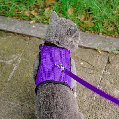 PUPTECK Soft Mesh Cat Vest Harness and Leash Set Puppy Padded Pet Harnesses Escape Proof for Cats Small Dogs, Purple Small