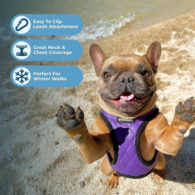 Best Pet Supplies - All Weather Mesh / Plush, Reflective, No Pull Harness for Small, Medium Dogs, Cats - Secure with Hook & Loop Fastener, Buckle, Double D-Rings - Purple Faux Leather, L