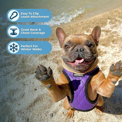 Best Pet Supplies - All Weather Mesh / Plush, Reflective, No Pull Harness for Small, Medium Dogs, Cats - Secure with Hook & Loop Fastener, Buckle, Double D-Rings - Purple Faux Leather, S