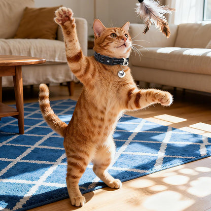 Small Dog Collar with Bell Reflective - Adjustable Puppy Collar for Nighttime Walks, Cute Basic Nylon Collar for Chihuahua Pomeranian Yorkie (Black S)