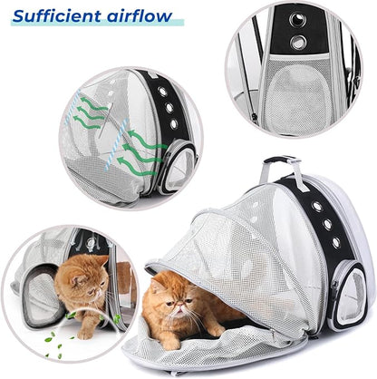 Lollimeow Cat Carrier Backpack, Bubble Expandable Backpack Carrier, Pets and Small Dogs,Airline-Approved, Designed for Travel, Hiking, Walking & Outdoor Use (Back Expandable-Black)