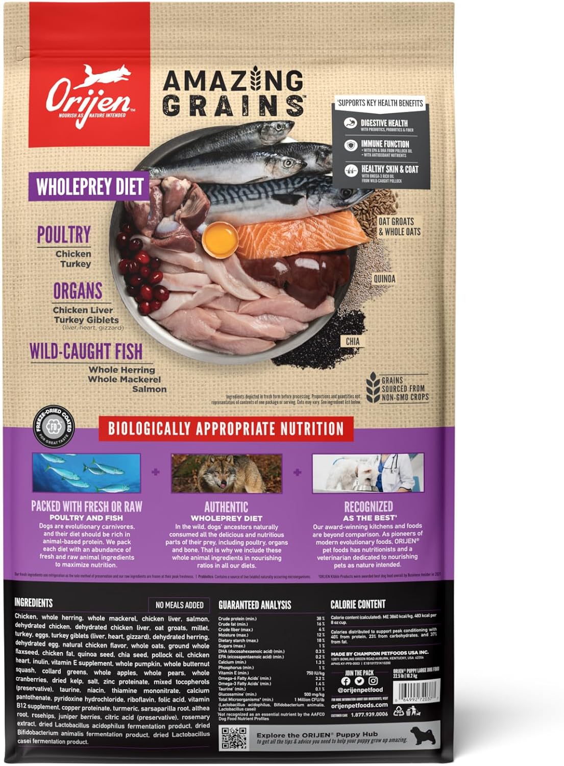 ORIJEN Amazing Grains High Protein Dry Dog Food Puppy Large Breed Recipe 22.5lb Bag
