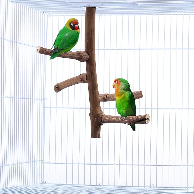 CozyCabin Natural Bird Perch Stand, Hanging Multi Branch Grapevine Parrot Perch Bird Cage Toys for Small Budgies Conure Parrot Parakeets Cockatiels Lovebirds (Branch)