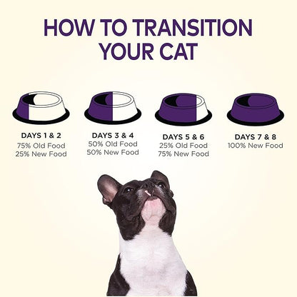 Wellness Natural Pet Food Complete Health Natural Grain Free Dry Dog Food, Chicken, 24-Pound Bag