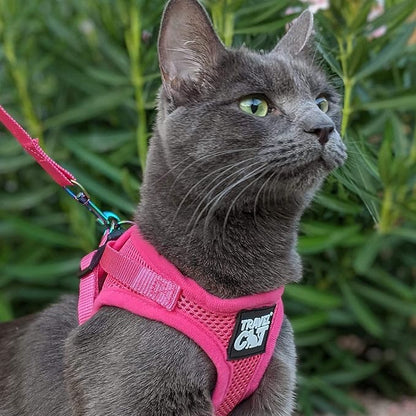 Travel Cat Harness and Leash Set - Adjustable Fit Mesh Cat Harness and Reflective Strap - Comfort Walking Vest for Kitten for Outdoor Walking, Hiking (Small)