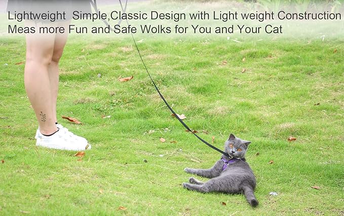 AMAGOOD 6 FT Puppy/Dog Leashes, Strong Traditional Style Leash with Easy to Use Collar Hook,Dog Lead Great for Small and Medium and Large (Black,5/8" x 6 Feet)