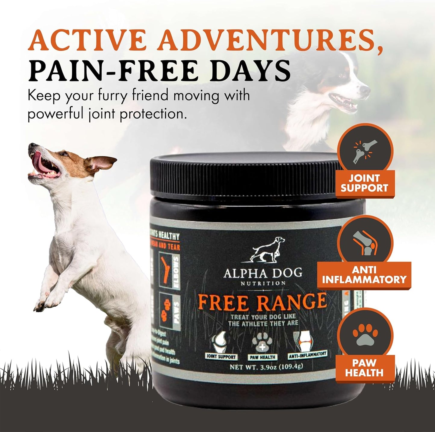 Free Range Joint Health Enhancer Supplement Powder for Dogs by Alpha Dog Nutrition - Premium Dog Arthritis Vitamins to Care for Joints - Contains Glucosamine, Chondroitin, MSM, Vitamin E, & More