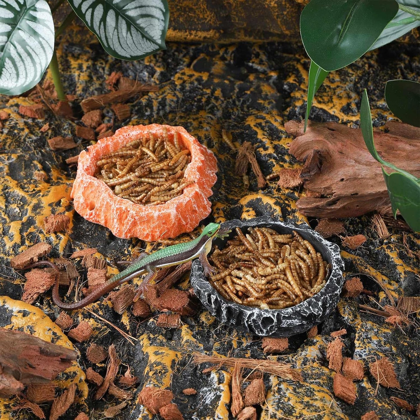 IBWell 2pcs Reptile Water Bowl with Feeding Tweezers - Food Dish for Lizard, Snake, Tortoise & Small Animals - Loess