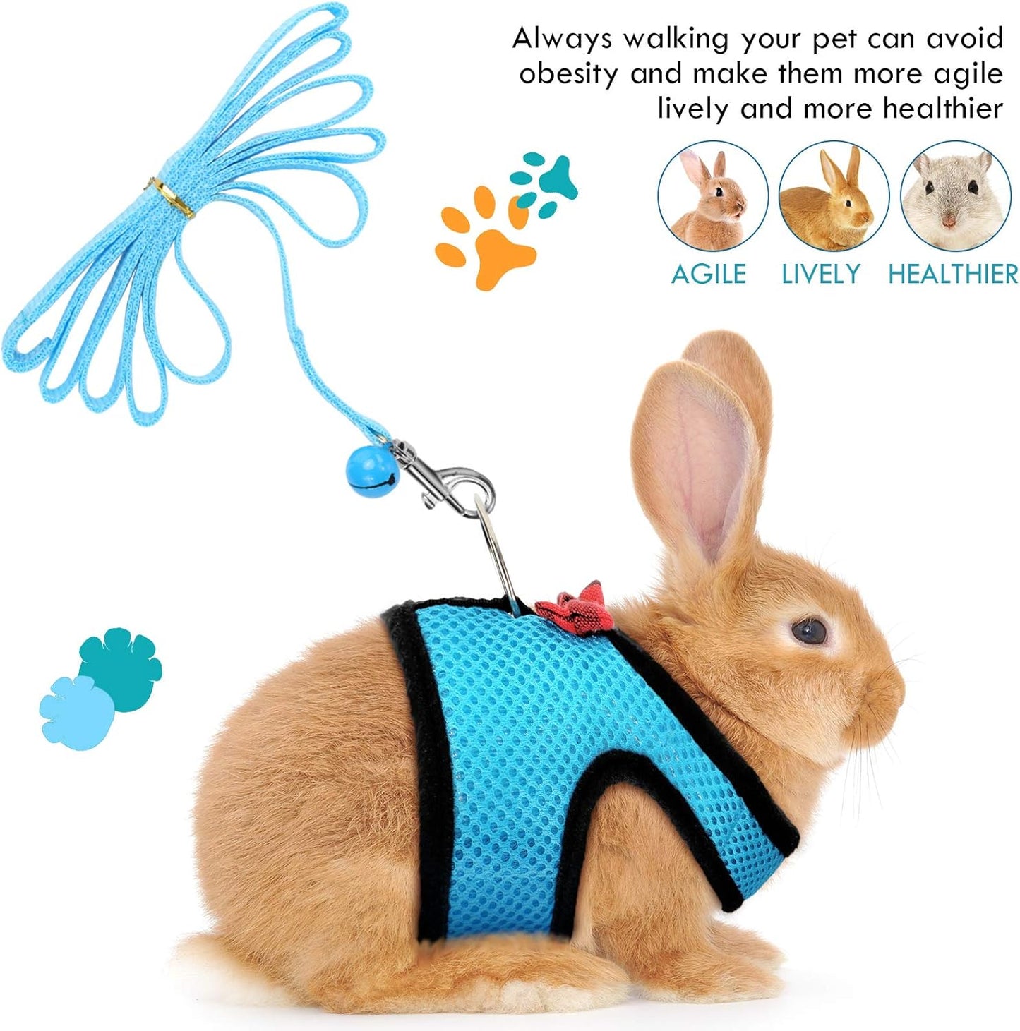 SATINIOR 2 Pieces Guinea Pig Bunny Harness Soft Mesh Hamster Rat Leash with Safe Bell, Ferret Pig Clothes and Leash Set for Hamster Ferrets Rats Bunny Guinea Chinchilla Teacup Chihuahua(M,Blue, Black)