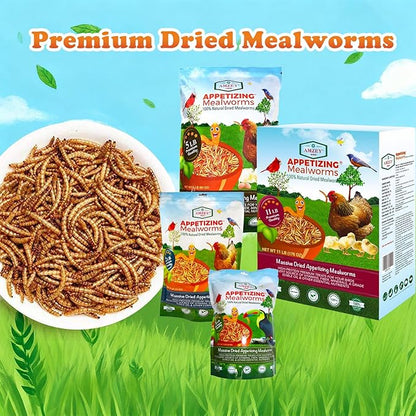 Amzey Dried Mealworms 11 LBS - 100% Natural for Chicken Feed, Bird Food, Fish Food, Turtle Food, Duck Food, Reptile Food, Non-GMO, No Preservatives, High Protein and Nutrition
