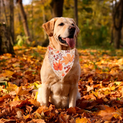 ADOGGYGO Fall Dog Bandana, Pumpkin Maple Leaf Autumn Thanksgiving Pet Scarf, Adjustable Fit Fall Bandanas for X-Large Dogs Pets (X-Large)