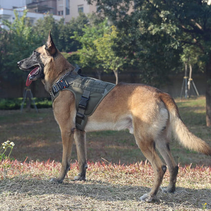 ICEFANG Tactical Dog Harness, X-Large Size,2X Metal Buckle,Working Dog MOLLE Vest with Handle,No Pulling Front Leash Clip,Hook and Loop Panel (Green,XL (Pack of 1))