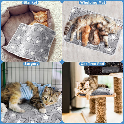 2 Pcs Large Self Warming Cat Pad Self Heating Cat Mat Bed Dog Crate Pet Blankets Thermal Heated Bed Mat for Outdoor Indoor Newborn Kittens Puppies Dog(Double Star,24 x 18)