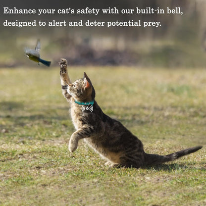 OOPSDOGGY Cat Collar for AirTag Holder, Leather Kitten Collars with Elastic Strap & Bell, Non Breakaway Adjustable Small Pet Collars for Indoor & Outdoor for Boy, Girl (Blue)