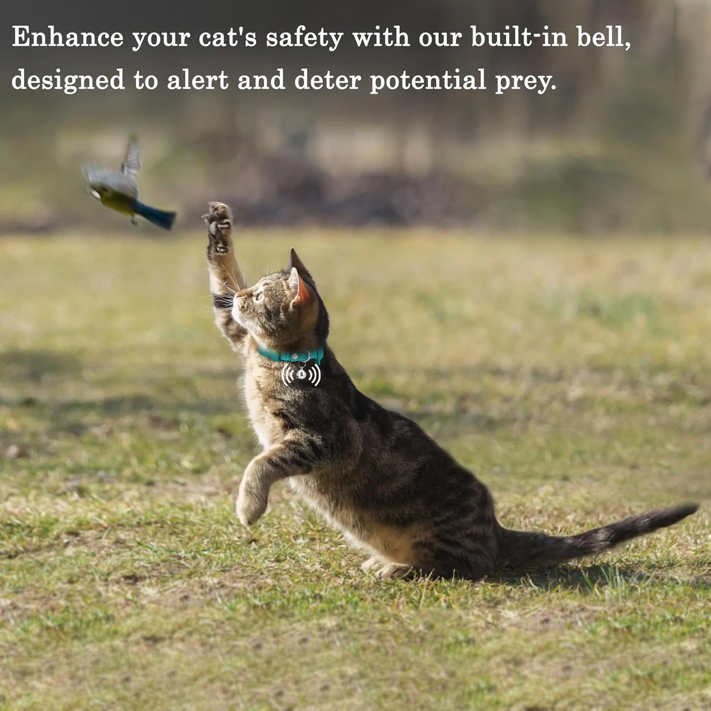 OOPSDOGGY Cat Collar for AirTag Holder, Leather Kitten Collars with Elastic Strap & Bell, Non Breakaway Adjustable Small Pet Collars for Indoor & Outdoor for Boy, Girl (Green)