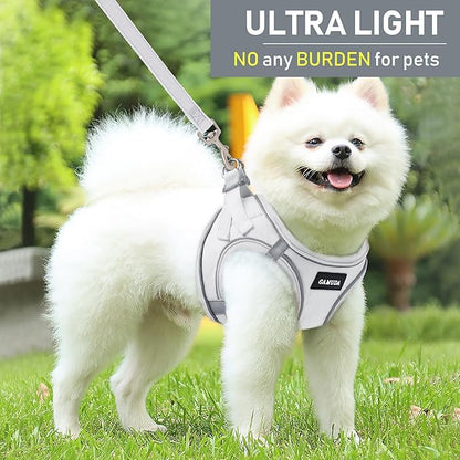 GAMUDA Small Pet Harness Collar and Leash Set, Step in No Chock No Pull Linen Fabric Soft Mesh Dog Vest Harnesses Reflective for Dogs Puppy Cats Kitten Rabbit (White, XS)