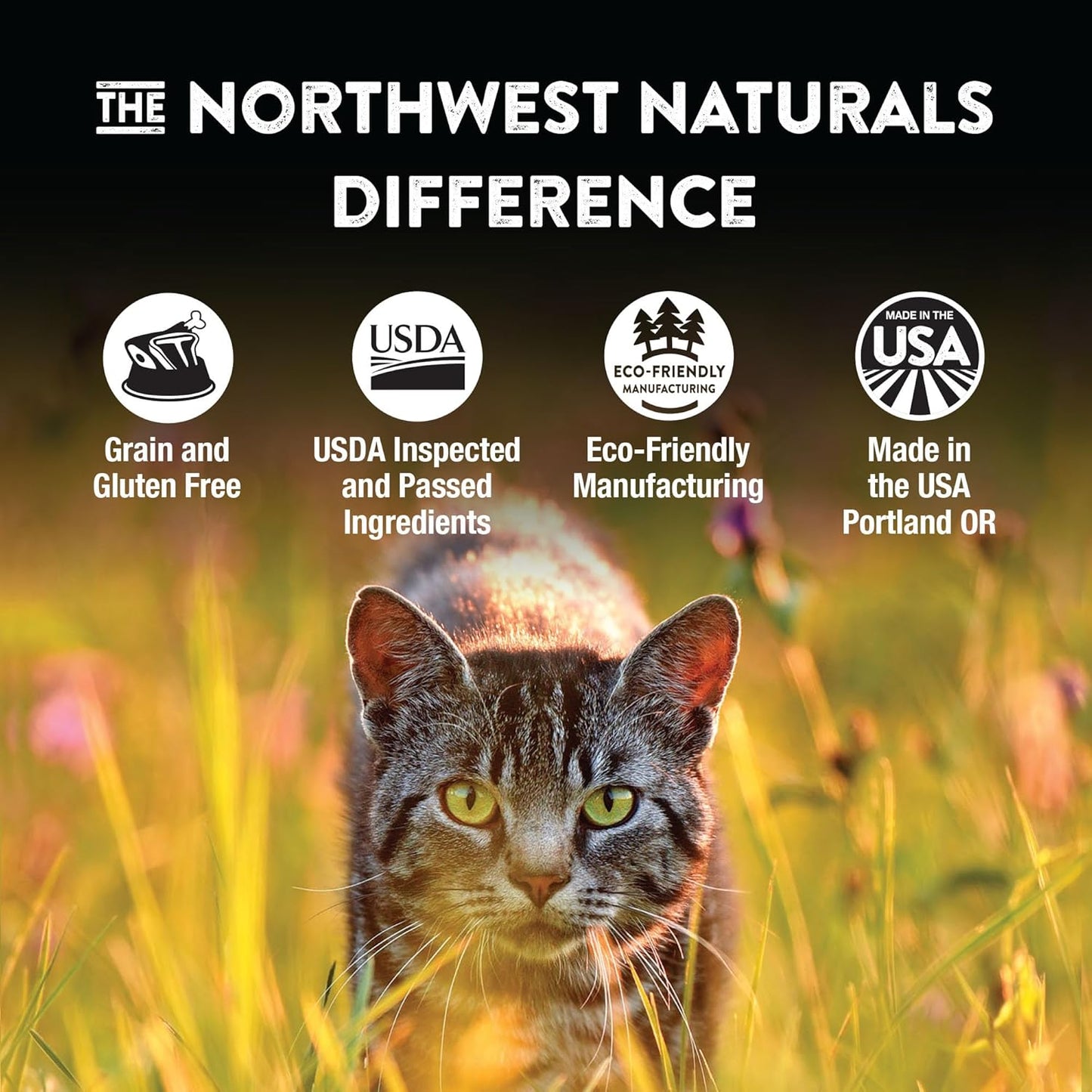 Northwest Naturals Freeze-Dried Beef & Trout Cat & Kitten Food – Bite-Sized Nibbles – Healthy, Limited, Human-Grade Ingredients, All-Natural, High-Protein Diet – Complete & Balanced, 11 oz (Pack of 3)