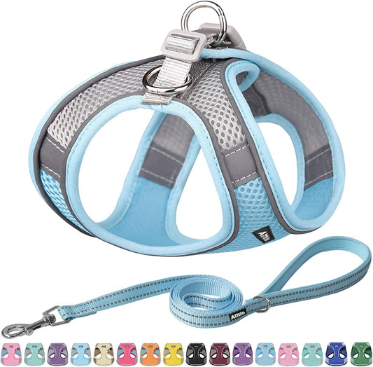AIITLE Easy Walk Dog Harness and Leash Set - Pet Supply No Pull, Step in Adjustable Pet Harnesses with Padded Vest for Summer, No Choke Over, Easy to Put on Medium Dogs Blue L