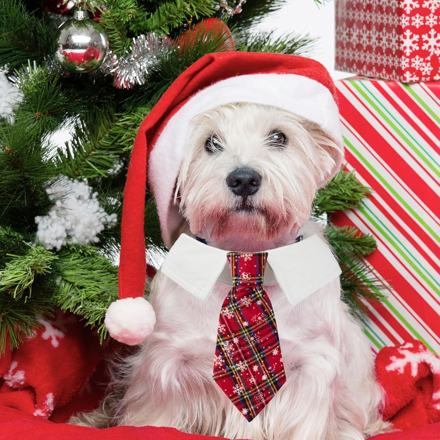 ADOGGYGO Christmas Dog Necktie Pet Tuxedo Christmas Dog Neck Tie Collar with Red Plaid Tie for Small Medium Large Dogs Pets (Small, Red)