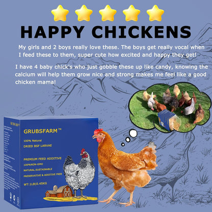 Premium Chicken Treats 1LB - Non-GMO & 85X More Calcium Than Meal Worms - Molting & Laying Supplement - BSF Larvae Treats for Layer Hens, Ducks Wild Birds