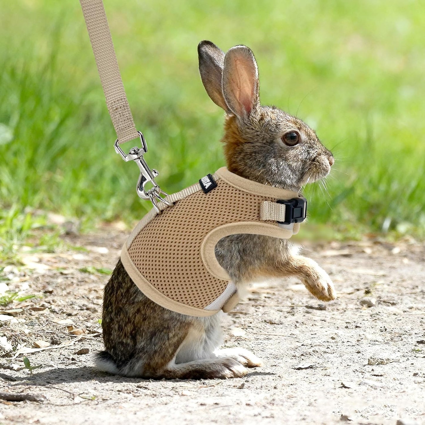 AIITLE Lightweight Escape Bunny Harness and Leash Set - Air Mesh Vest with Double D-Rings, Adjustable & Magic Tape Design, for Ferret/Cat/Puppy Training and Hiking Adventures, Khaki L