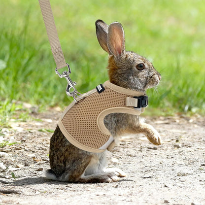 AIITLE Lightweight Escape Bunny Harness and Leash Set - Air Mesh Vest with Double D-Rings, Adjustable & Magic Tape Design, for Ferret/Cat/Puppy Training and Hiking Adventures, Khaki L