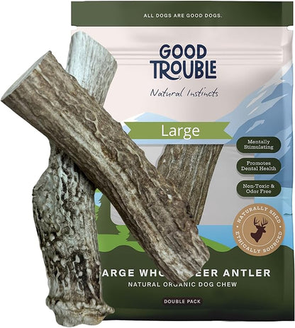 Good Trouble Premium Deer Antlers for Large Dogs – 2 Whole Antlers Pets - North American Sourced for Dental Health & Anxiety Relief - Odor-Free & Non-Toxic Chew Bone for Dogs