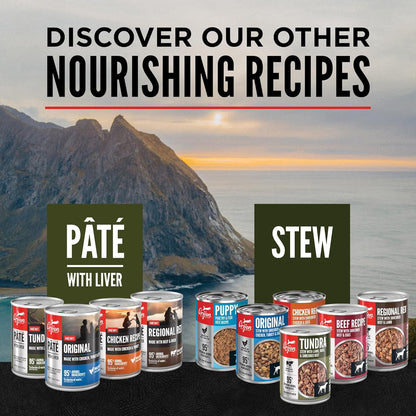 ORIJEN Real Meat Shreds Wet Dog Food Beef Stew Recipe 12.8oz Cans (12 Count)
