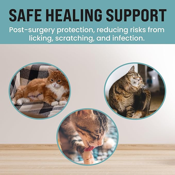 KittyCraft Cat Recovery Suit - Strangle-Proof Post Surgery Cat Onesie, Cat Post-Surgery Suit (Large, Pink)