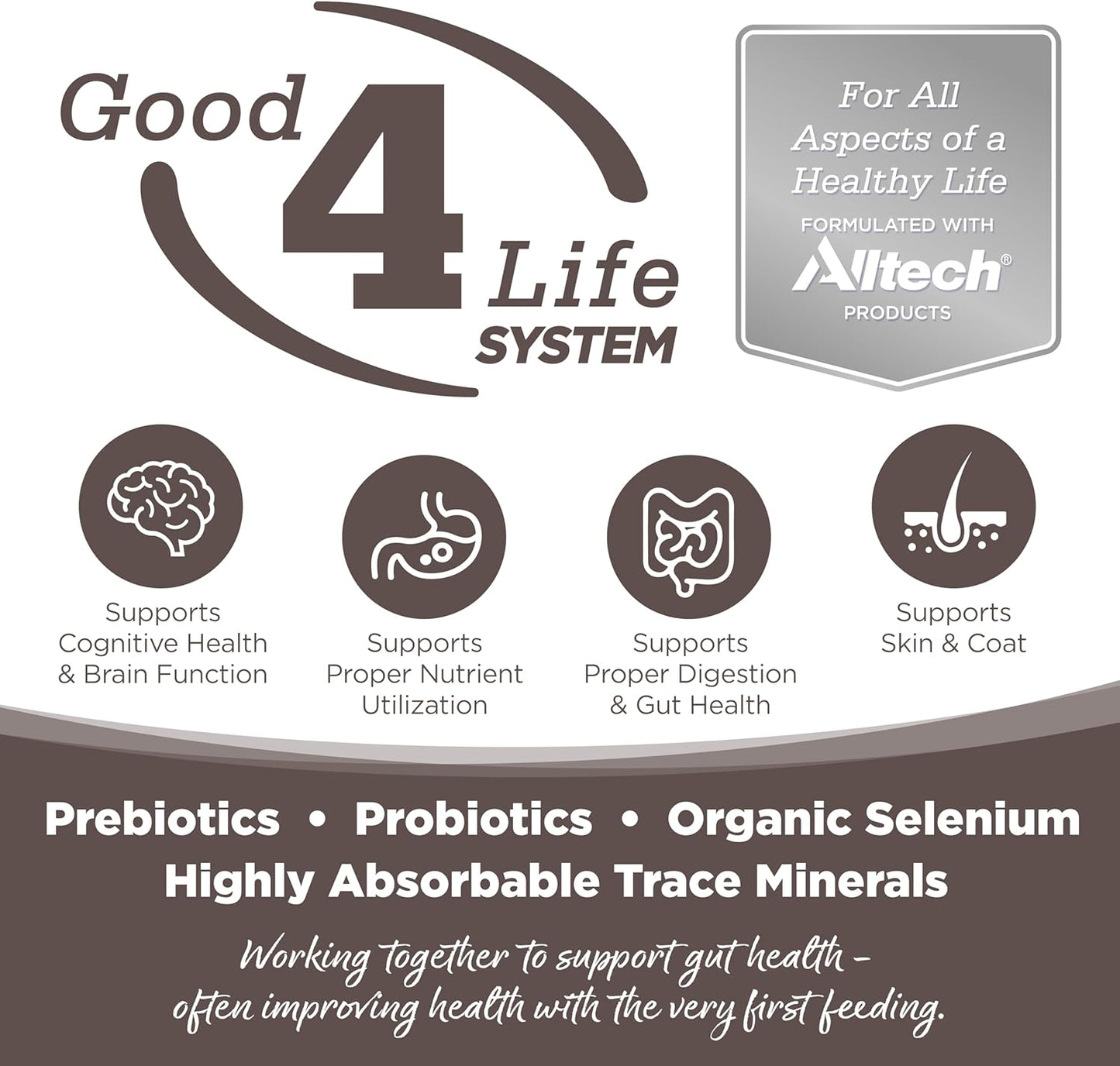 NutriSource Grain Free High Plains Select Recipe Dog Food, Premium Wet Dog Food, 12.3 Ounce (Pack of 12)