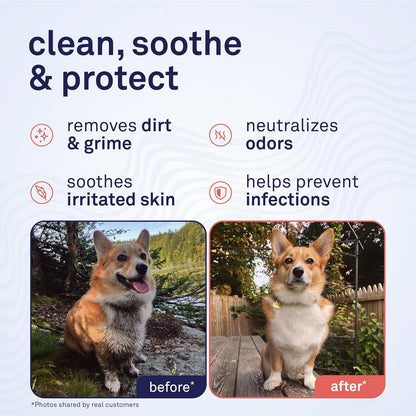 Petpost Large Grooming Wipes for Dogs | 70 Count Deodorizing Dog Cleaning Wipes with Coconut Extract & Aloe | Gentle Pet Wipes with Cherry Blossom Scent for Full-Body Grooming