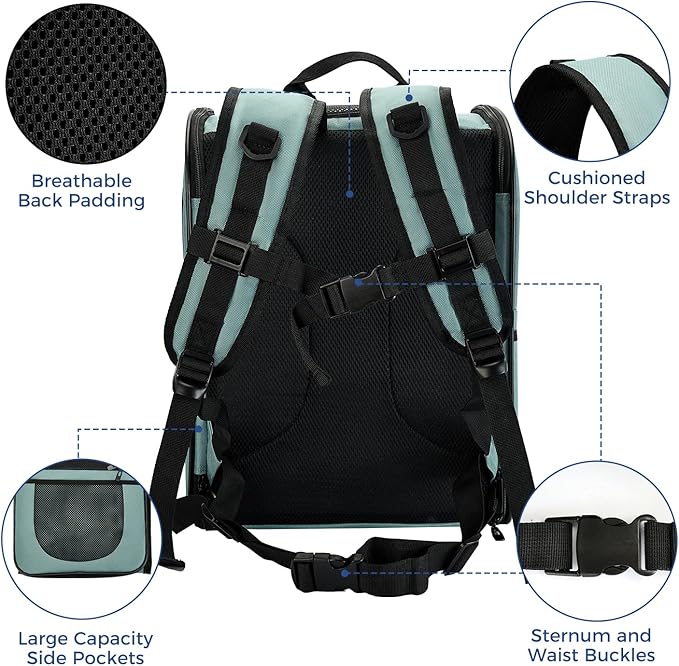 Apollo Walker Dog & Cat Carrier Backpack for 4-18lb Pets - Ventilated Safe Design with Padded Back Support, Breathable Mesh Pet Backpack for Hiking, Travel, Outdoor (Blue)