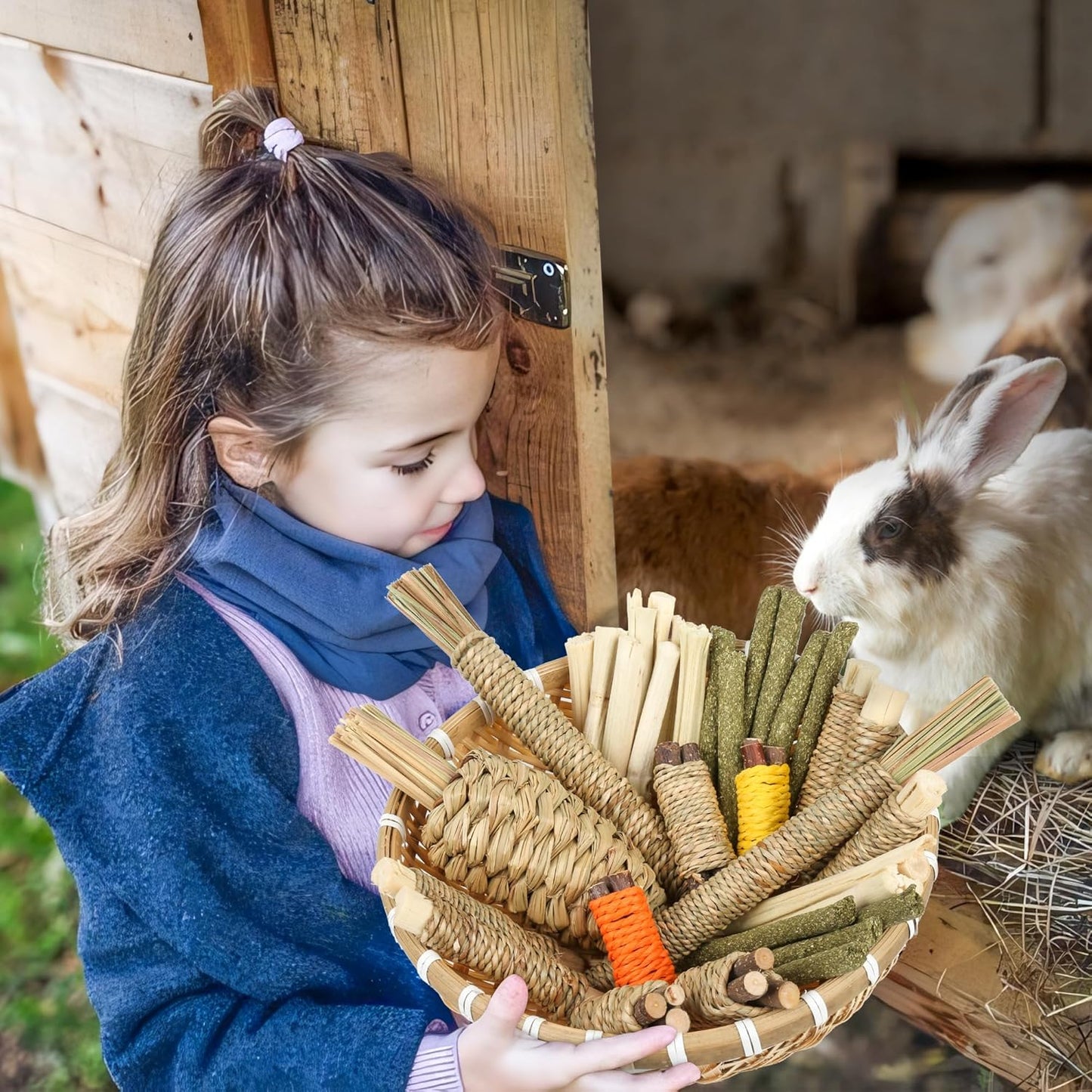 Rabbit Toys 33Pcs, Natural Hay Hamster Chew Toys for Teeth, Handmade Dried Sweet Teething Grass Sticks Watercress Carrot for Chinchillas Bunny Small Animals