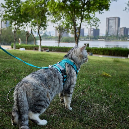 Cat Harness and Leash Escape Proof Medium Kitten Harness Bengal Cat Vest for Walking Travel, Turquoise, M