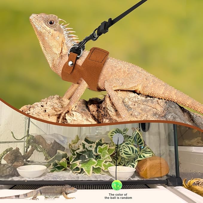 5 Pack Bearded Dragon Harness and Leash Set Bearded Dragon Leash with Retractable, 3 Size Adjustable Soft Leather Harness, Toy Bell Balls for Reptiles Squirrel Lizard Chinchilla