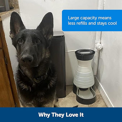 PetSafe Healthy Pet Water Station - Large, 320 oz Capacity - Gravity Pet Water Fountain, Automatic Cat Water Fountain or Dog Water Fountain - Water Dispenser - Removable Stainless Steel Bowl Included